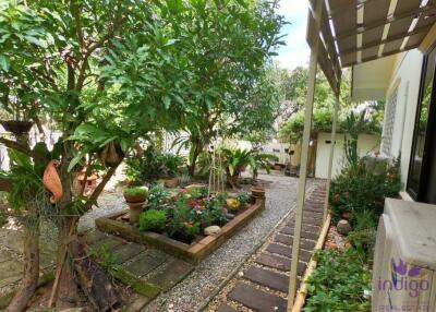 Very peaceful and quiet! Lovely 3 bedroom single storey home with a lovely and shady courtyard. Doi Saket, Chiang Mai.