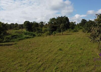 Land for sale 12 Rai , Far from Mae Ma Lai Market 4 KM, Mae Tang ,Chiamg Mai