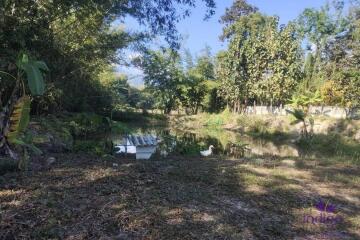 Land and house for sale in Chiang Dao, about 1 hour from Chiang Mai City.