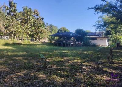 Land and house for sale in Chiang Dao, about 1 hour from Chiang Mai City.