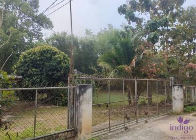 Land and house for sale in Chiang Dao, about 1 hour from Chiang Mai City.