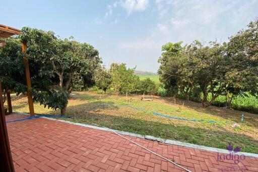 Wonderful 3 bedroom house on top of a hill surrounded by nature and lovely countryside view. Mae Taeng, Chiang Mai.