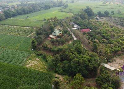 Wonderful 3 bedroom house on top of a hill surrounded by nature and lovely countryside view. Mae Taeng, Chiang Mai.