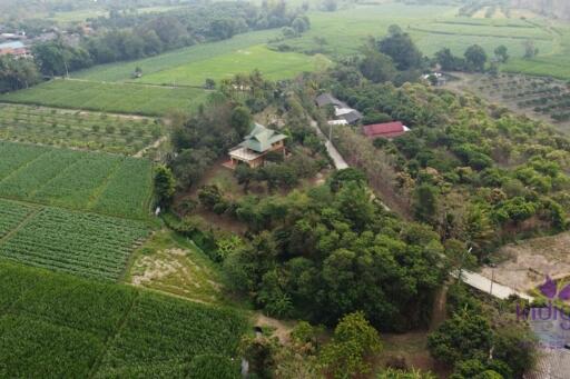 Wonderful 3 bedroom house on top of a hill surrounded by nature and lovely countryside view. Mae Taeng, Chiang Mai.