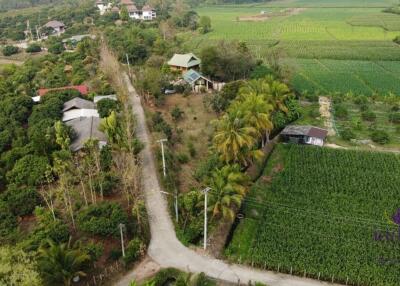 Wonderful 3 bedroom house on top of a hill surrounded by nature and lovely countryside view. Mae Taeng, Chiang Mai.