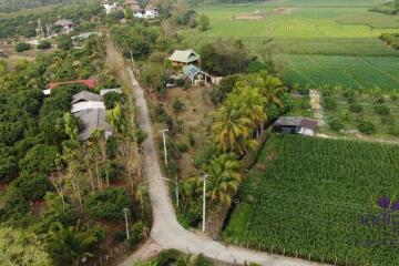 Wonderful 3 bedroom house on top of a hill surrounded by nature and lovely countryside view. Mae Taeng, Chiang Mai.