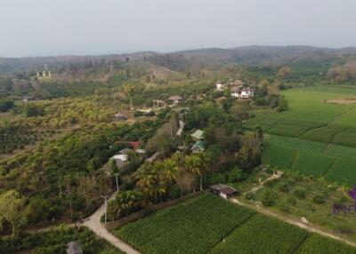 Wonderful 3 bedroom house on top of a hill surrounded by nature and lovely countryside view. Mae Taeng, Chiang Mai.