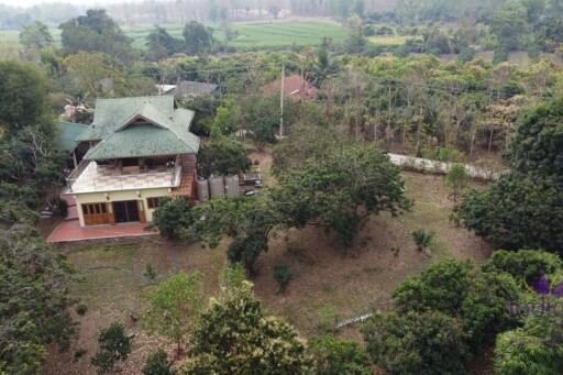 Wonderful 3 bedroom house on top of a hill surrounded by nature and lovely countryside view. Mae Taeng, Chiang Mai.