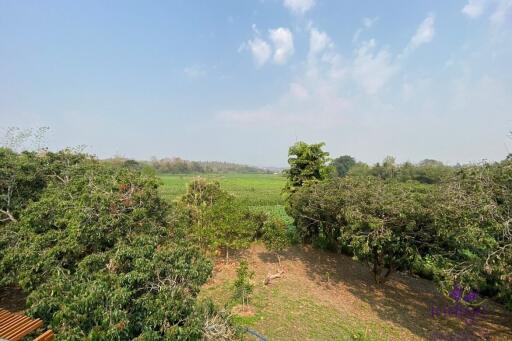 Wonderful 3 bedroom house on top of a hill surrounded by nature and lovely countryside view. Mae Taeng, Chiang Mai.