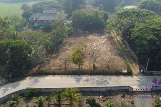 Lovely large 315 plot of land for sale in Sanpapao, Sansai, Chiang Mai