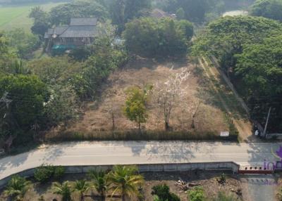 Lovely large 315 plot of land for sale in Sanpapao, Sansai, Chiang Mai