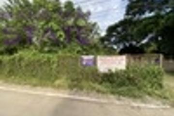 Lovely large 315 plot of land for sale in Sanpapao, Sansai, Chiang Mai