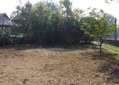 Lovely large 315 plot of land for sale in Sanpapao, Sansai, Chiang Mai