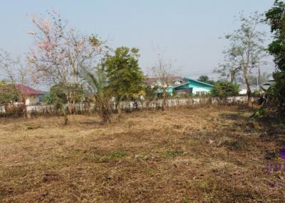 Lovely large 315 plot of land for sale in Sanpapao, Sansai, Chiang Mai