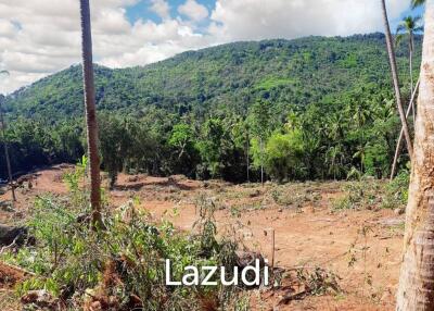 Mountain Land for sale near HinLad waterfall