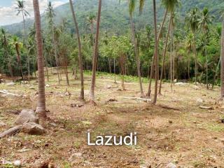 Mountain Land for sale near HinLad waterfall