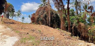 Sea view land for sale near HinLad waterfall