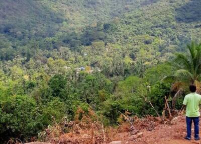 Sea view land for sale near HinLad waterfall