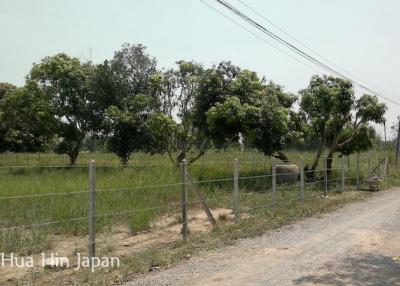 5 Rai of Land for sale near Wat Huay Mongkol Hua Hin