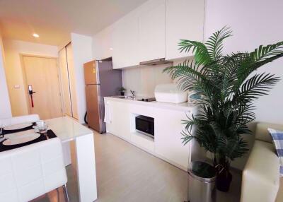 2 bed Condo in Rhythm Sukhumvit 42 Phra Khanong Sub District C020285