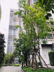 2 bed Condo in Park Origin Phromphong Khlongtan Sub District C020275