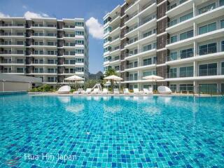 Beautiful 1 Bedroom Unit on Dolphin Bay Beach