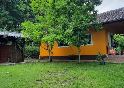 3 Bedrooms Beautiful House/Farm for Sale