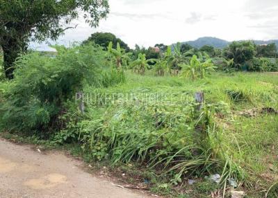 RAW7365: Big land plot in Rawai for sale