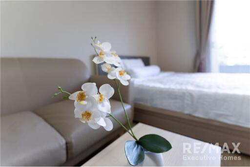 Nice and very new room with swimming pool view with 7 mins walk to BTS Udomsuk. - 920071062-153