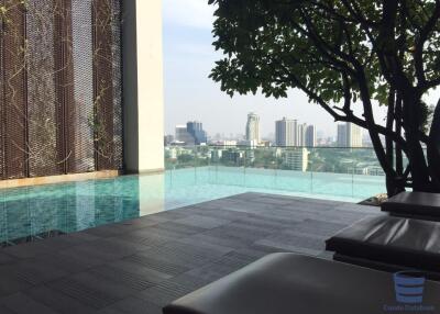 [Property ID: 100-113-26319] 1 Bedrooms 1 Bathrooms Size 35Sqm At Ideo Morph 38 for Rent 28000 THB
