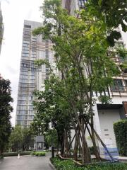 [Property ID: 100-113-24885] 2 Bedrooms 2 Bathrooms Size 58Sqm At Park 24 for Rent 30000 THB