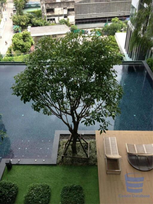 [Property ID: 100-113-25059] 1 Bedrooms 1 Bathrooms Size 23Sqm At Rhythm Sukhumvit 36-38 for Rent 20000 THB