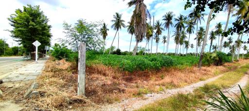 Land for Sale in Huay Yai Pattaya