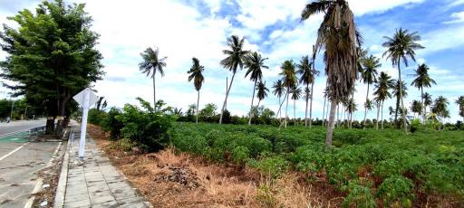 Land for Sale in Huay Yai Pattaya