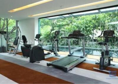 [Property ID: 100-113-24448] 1 Bedrooms 1 Bathrooms Size 46Sqm At Via 49 for Rent 40000 THB