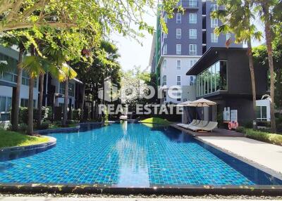 Natureza Condo for Sale in North Pattaya