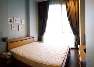[Property ID: 100-113-22959] 1 Bedrooms 1 Bathrooms Size 50Sqm At Quattro by Sansiri for Rent 45000 THB