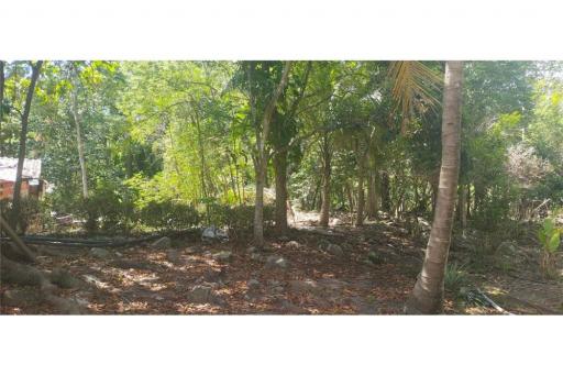 Land for Lease Mountain View with small waterfall - 920121059-4