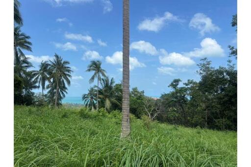 Land for Sale: Seaview Plot @ Santi Thani Bangpor