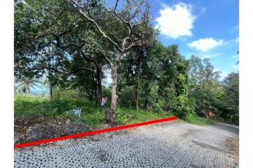 Land for Sale: Seaview Plot @ Santi Thani Bangpor