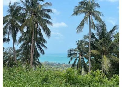 Land for Sale: Seaview Plot @ Santi Thani Bangpor - 920121030-161