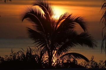 Luxury 3 Bedroom Beachfront villa