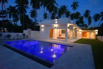 Luxury 3 Bedroom Beachfront villa - 920121061-11