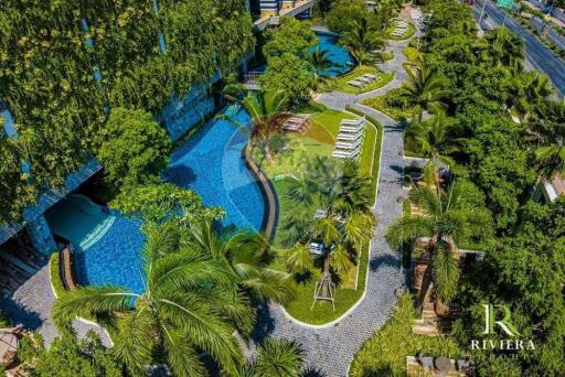 The Riviera Jomtien #Direct #Sale 2.9 Mb. 1 BR   City view