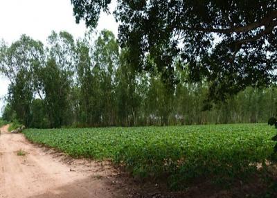 Land near Mabprachan Lake 15 Rai