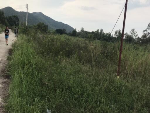 Land plot in Bangsaray area for sale