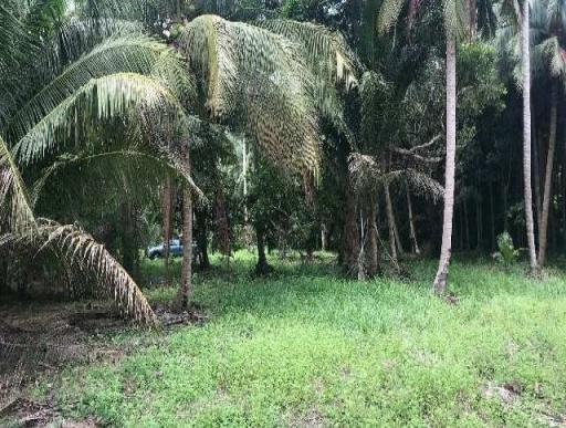 Beachfront Landplot in Koh Chang