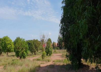 Large plot of land near the crocodile farm