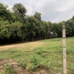 Land for sale in Pratumnak