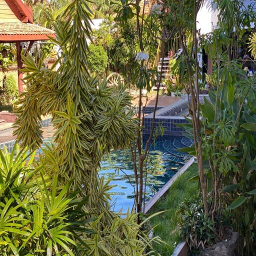 Tropical Thai-Bali house with 5 Bedroom